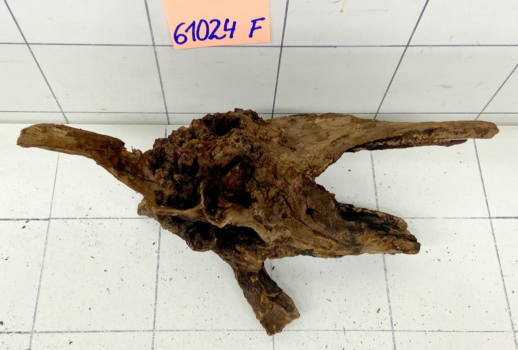 61024F Flussholz / Driftwood / Flusswurzel