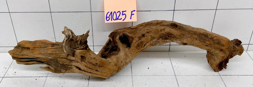61025F Flussholz / Driftwood / Flusswurzel