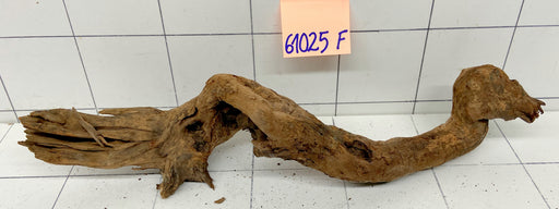 61025F Flussholz / Driftwood / Flusswurzel