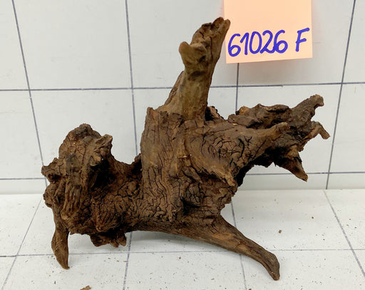 61026F Flussholz / Driftwood / Flusswurzel