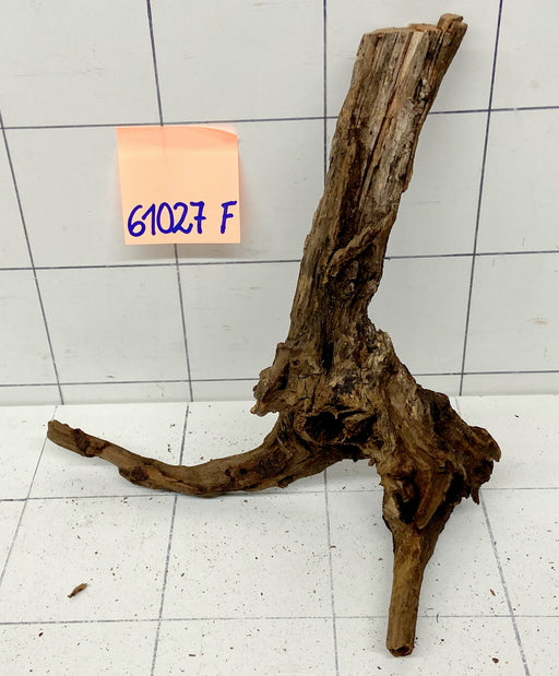 61027F Flussholz / Driftwood / Flusswurzel
