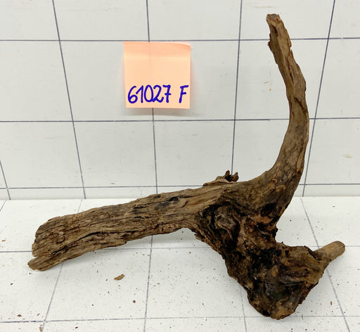61027F Flussholz / Driftwood / Flusswurzel