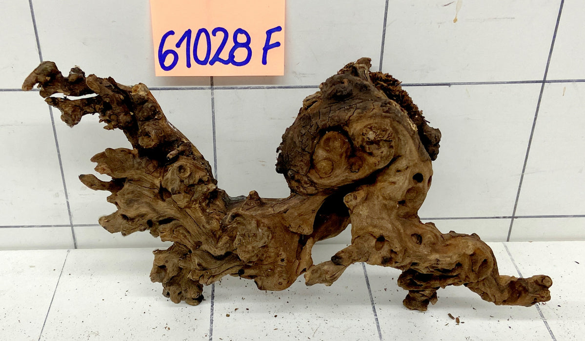 61028F Flussholz / Driftwood / Flusswurzel