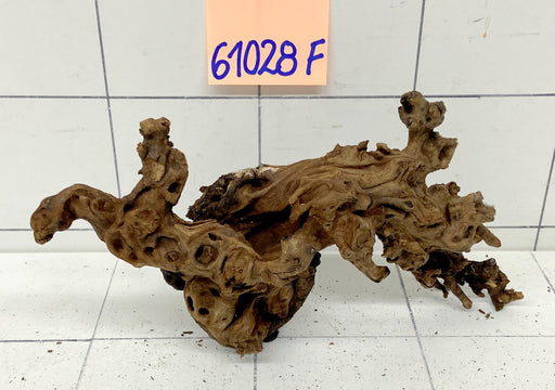 61028F Flussholz / Driftwood / Flusswurzel