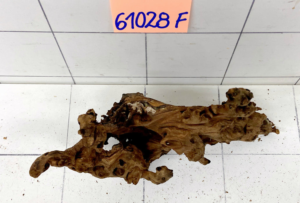 61028F Flussholz / Driftwood / Flusswurzel