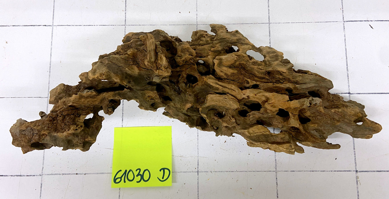 61030D - Drachenholz / Dragonwood