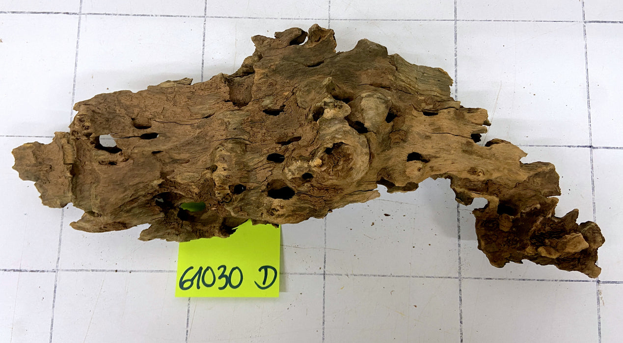 61030D - Drachenholz / Dragonwood