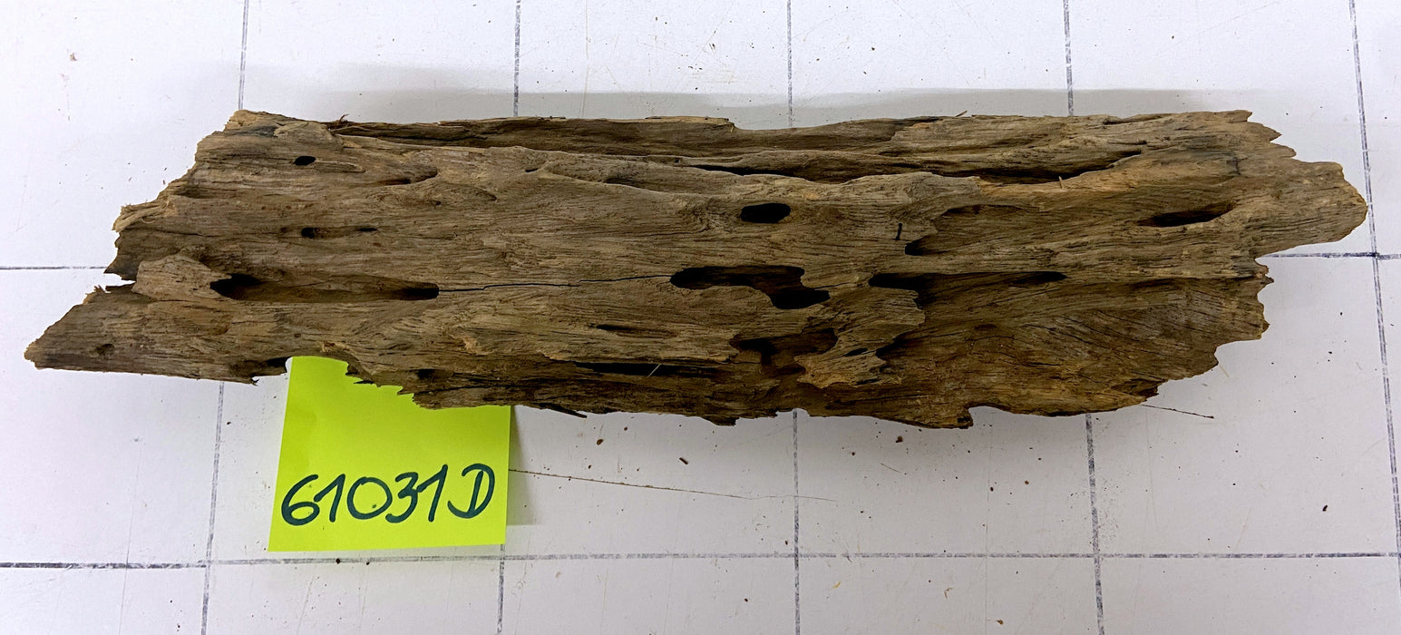 61031D - Drachenholz / Dragonwood