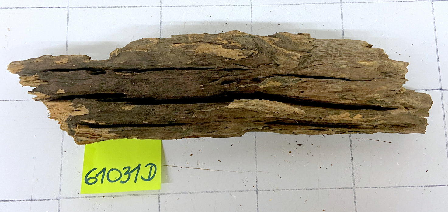 61031D - Drachenholz / Dragonwood