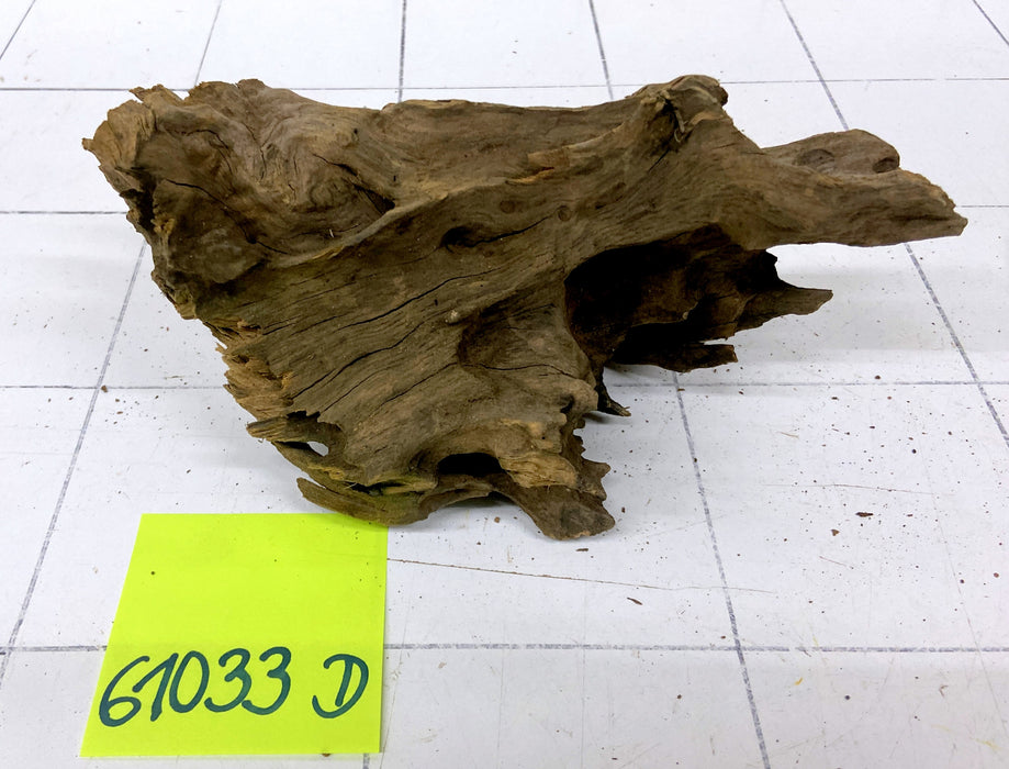 61033D - Drachenholz / Dragonwood