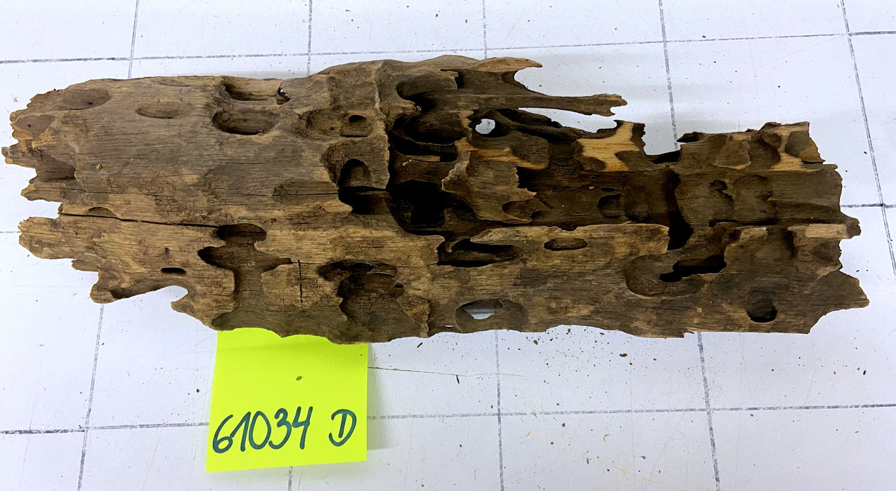 61034D - Drachenholz / Dragonwood