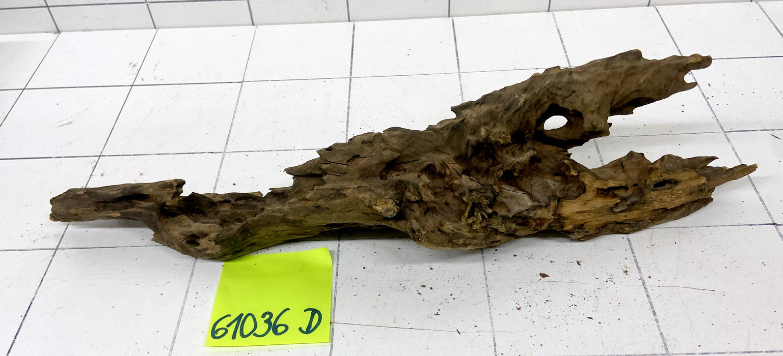 61036D - Drachenholz / Dragonwood