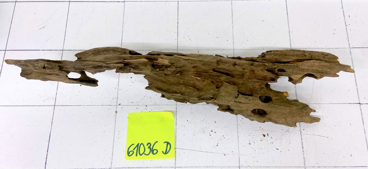 61036D - Drachenholz / Dragonwood