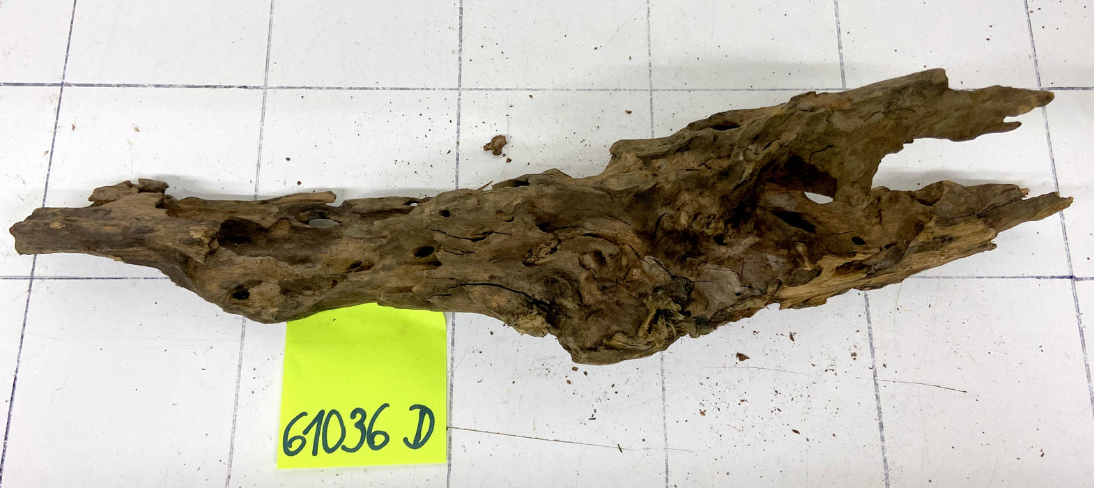 61036D - Drachenholz / Dragonwood