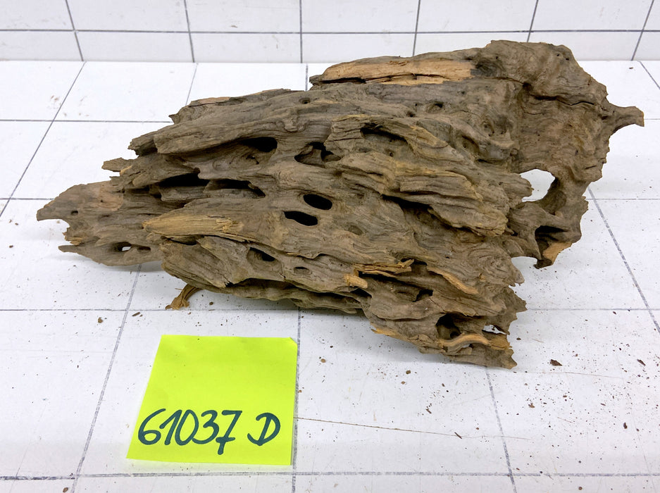 61037D - Drachenholz / Dragonwood