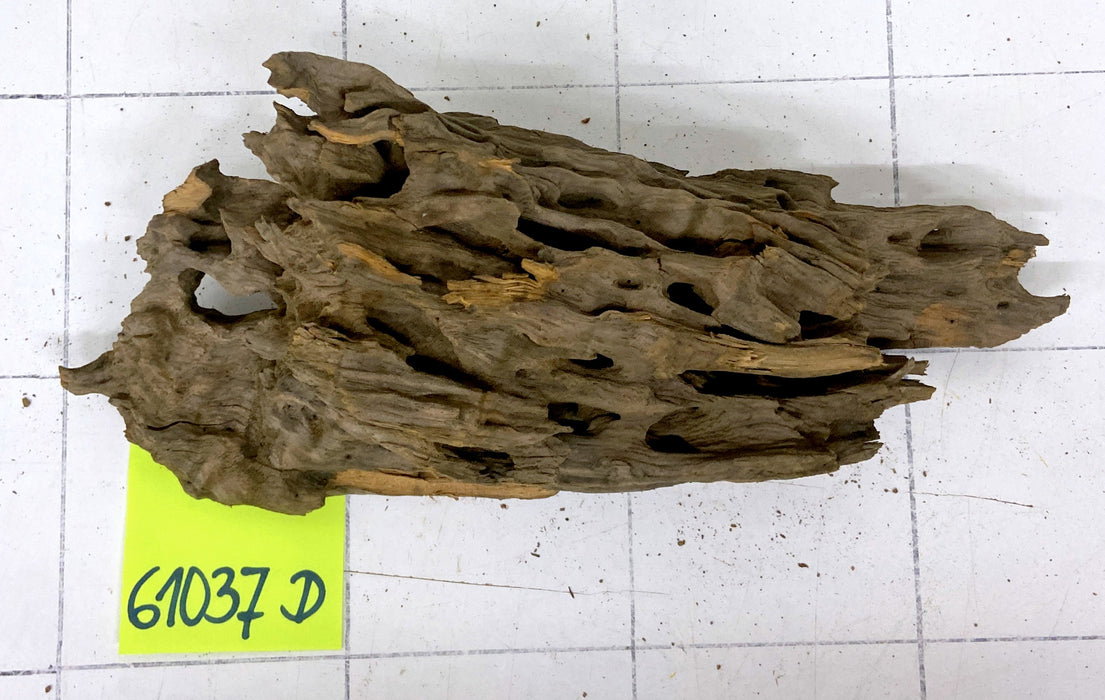 61037D - Drachenholz / Dragonwood