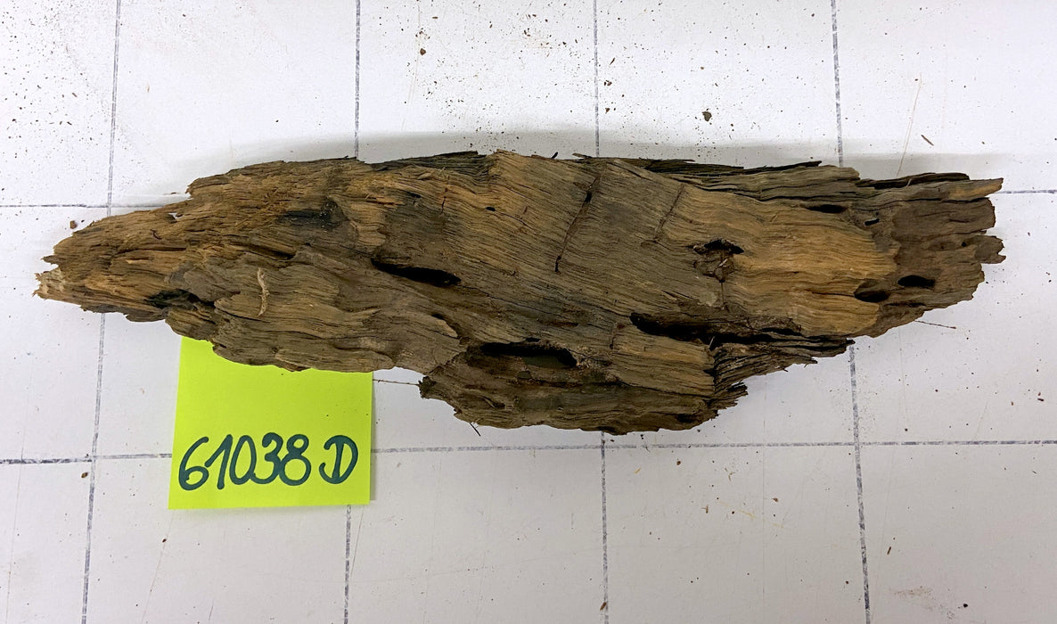 61038D - Drachenholz / Dragonwood