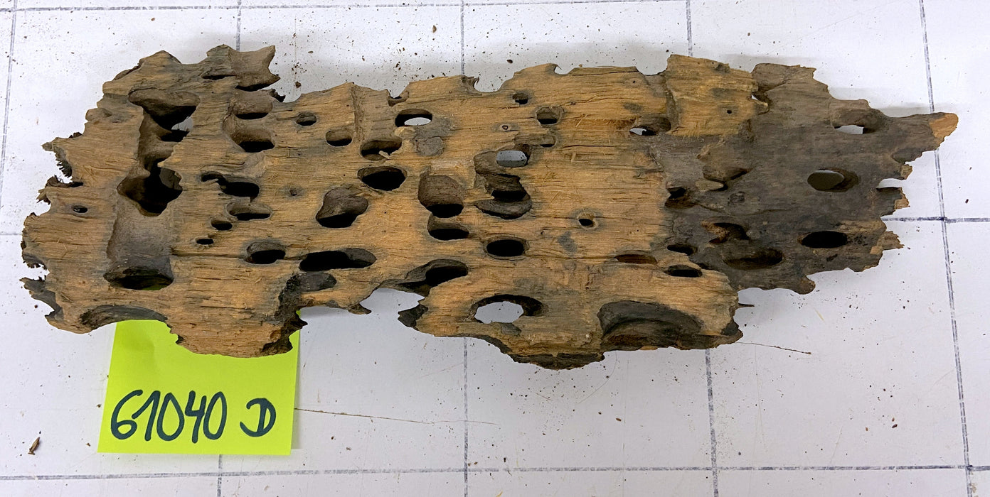 61040D - Drachenholz / Dragonwood