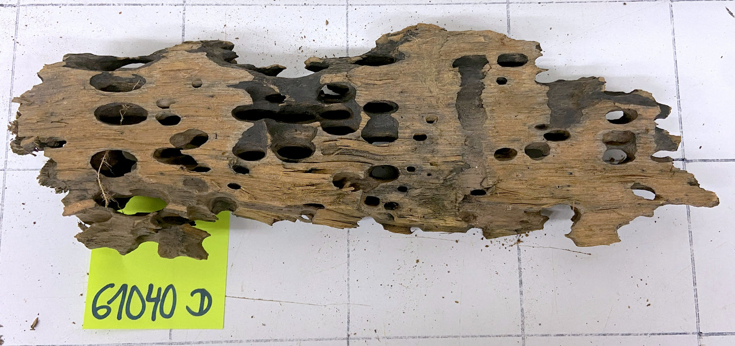 61040D - Drachenholz / Dragonwood