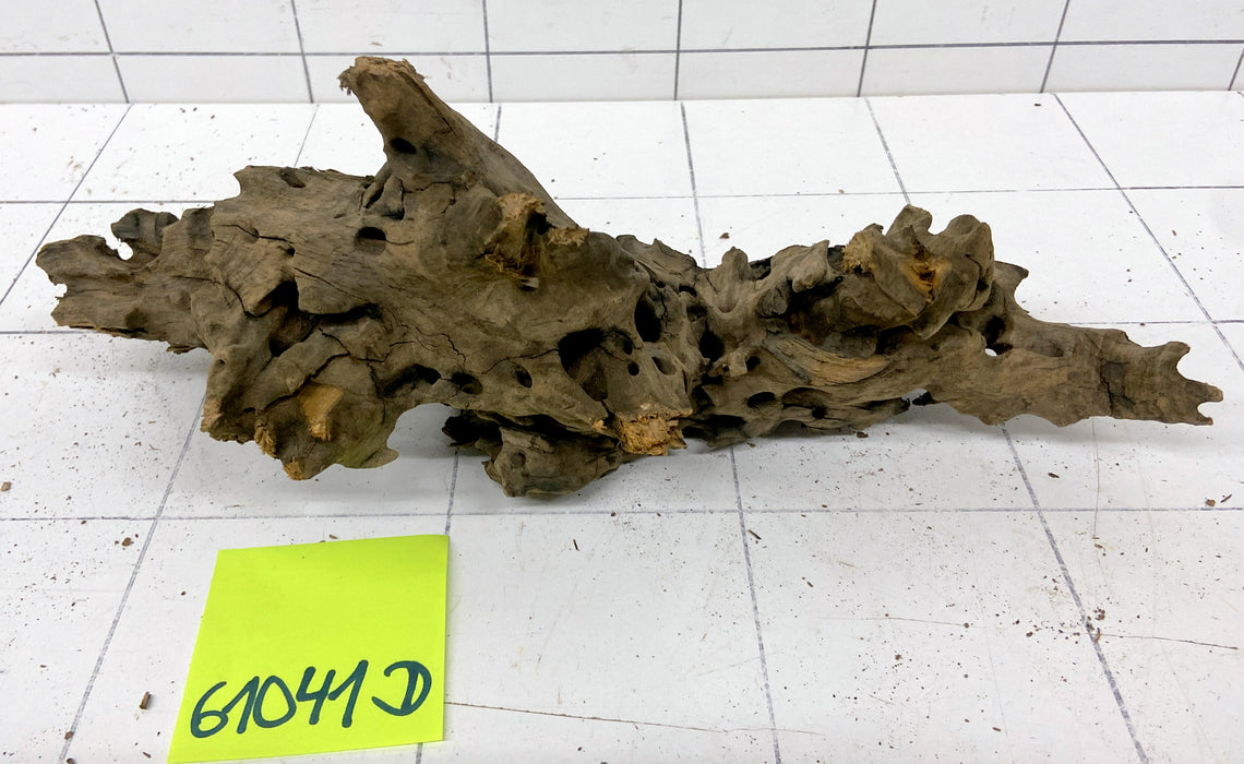 61041D - Drachenholz / Dragonwood