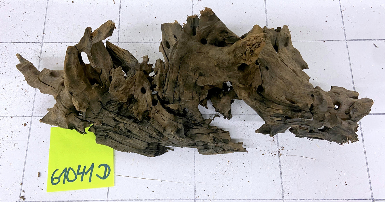 61041D - Drachenholz / Dragonwood