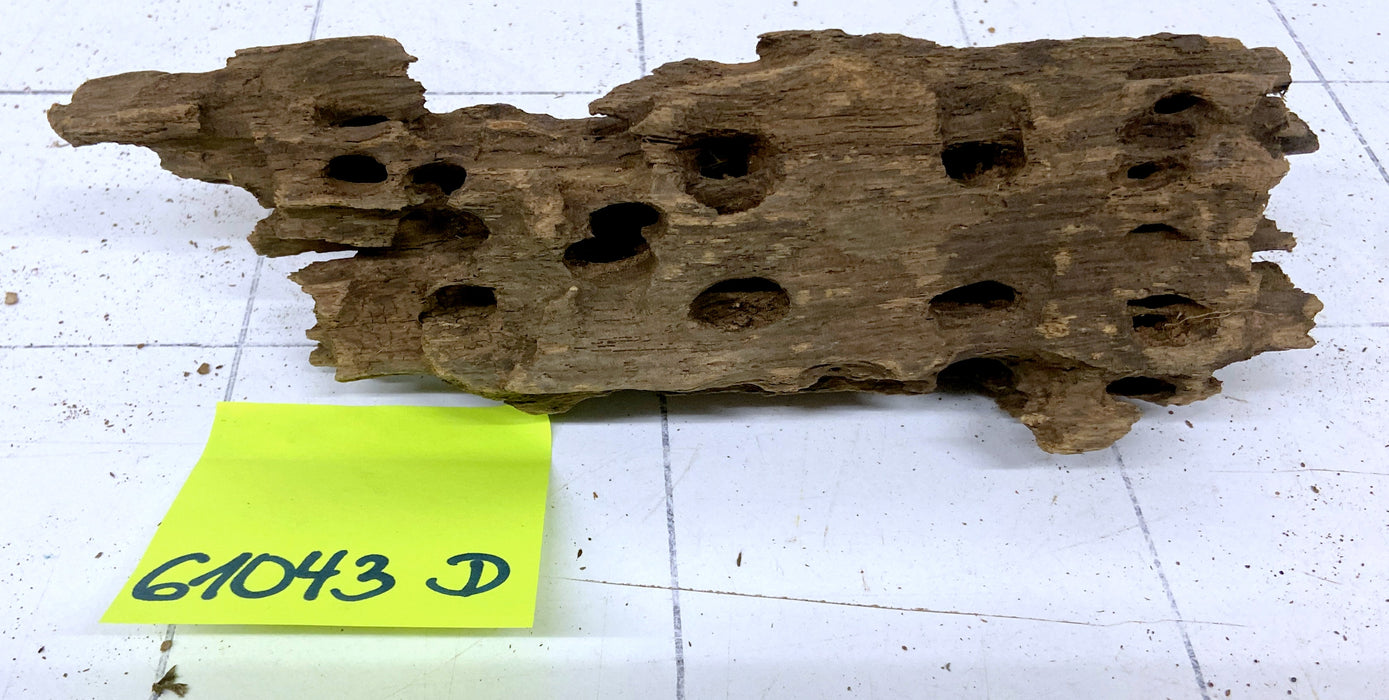 61043D - Drachenholz / Dragonwood