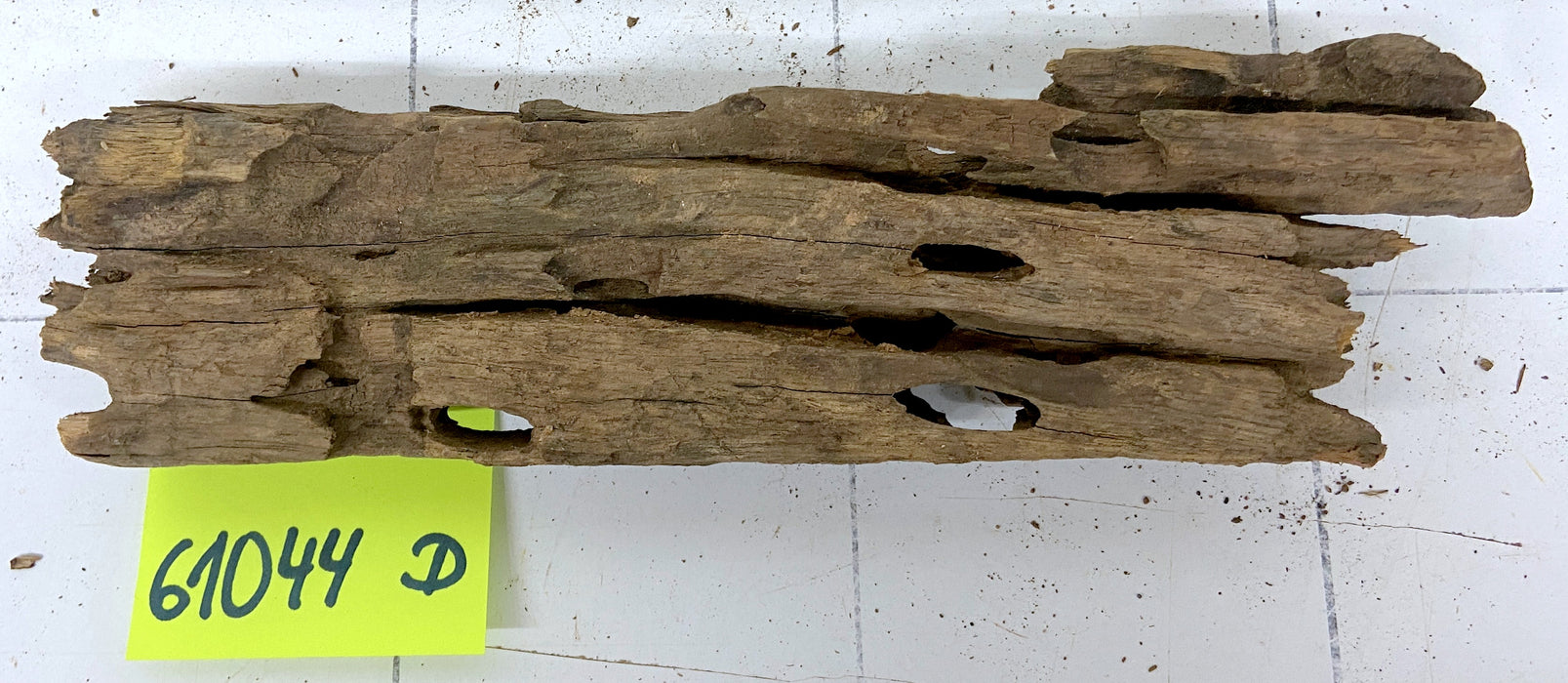 61044D - Drachenholz / Dragonwood