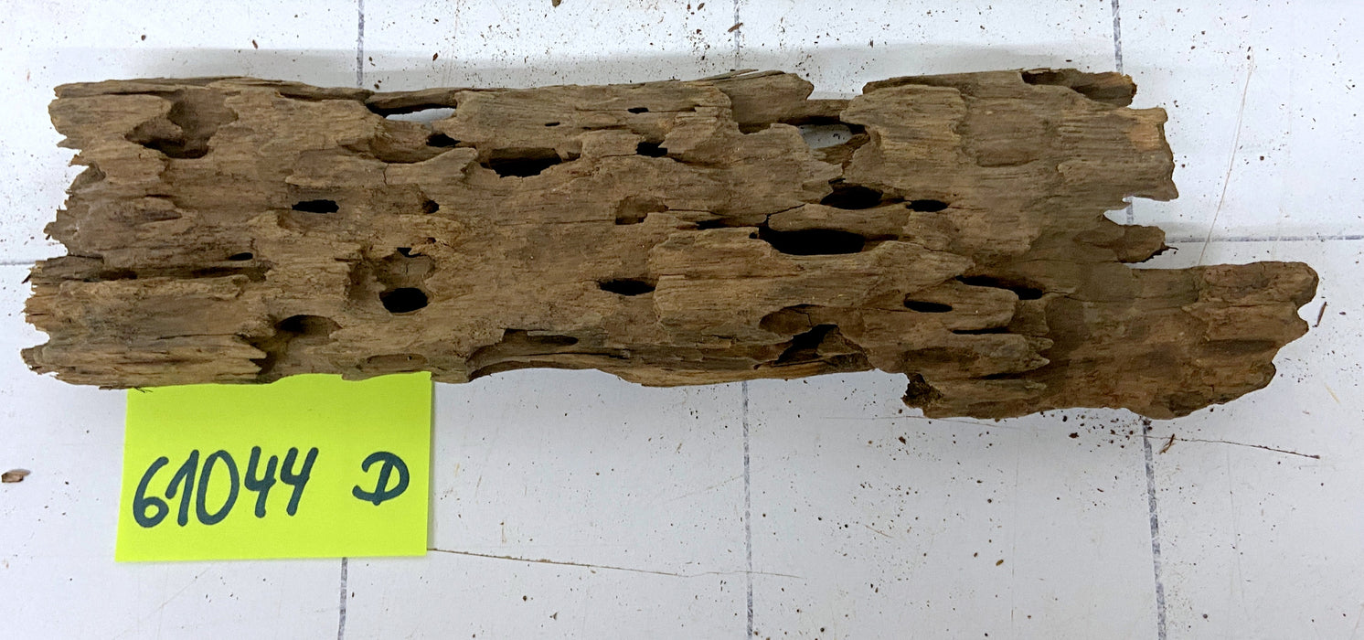 61044D - Drachenholz / Dragonwood