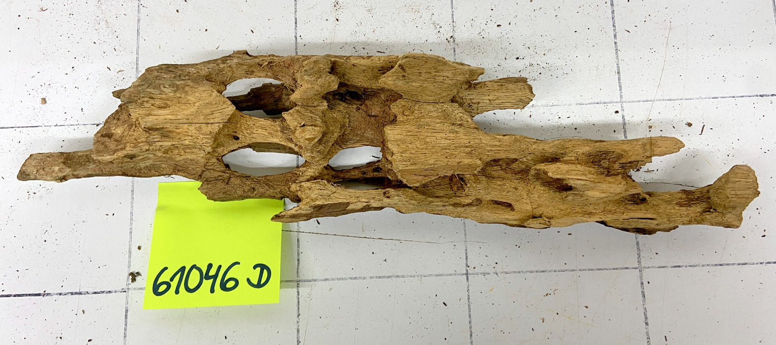 61046D - Drachenholz / Dragonwood