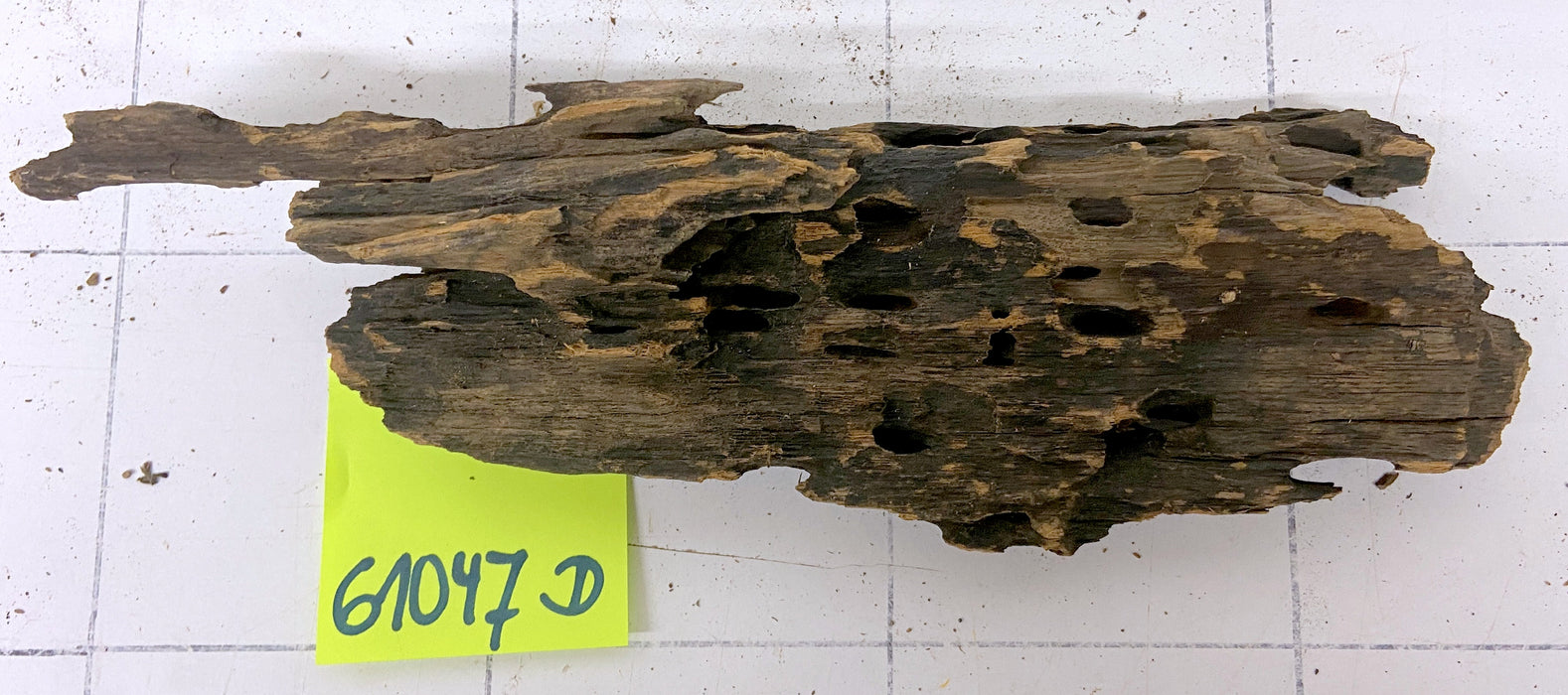 61047D - Drachenholz / Dragonwood