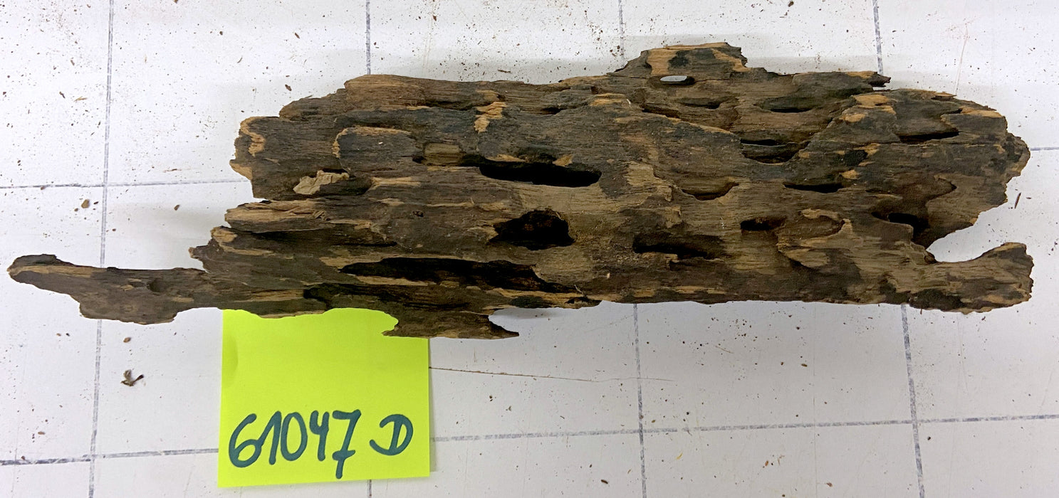 61047D - Drachenholz / Dragonwood