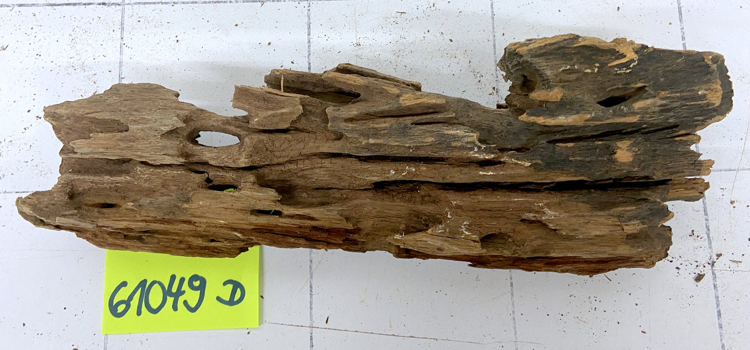 61049D - Drachenholz / Dragonwood