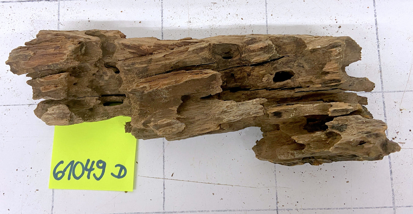 61049D - Drachenholz / Dragonwood