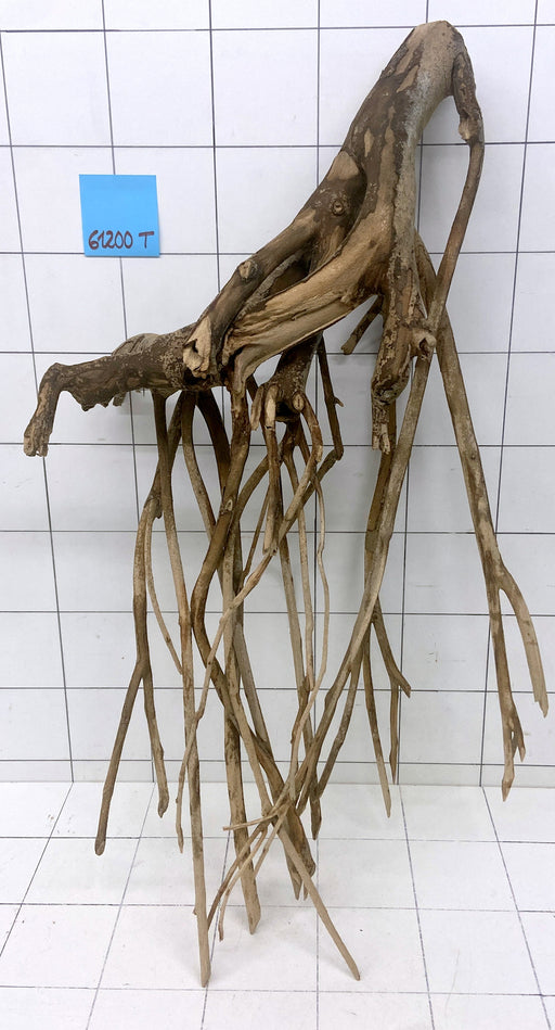 61200T Talawa Wurzel Holz XL