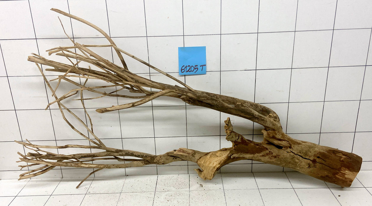 61205T Talawa Wurzel Holz XL