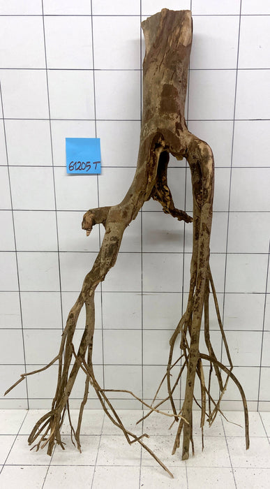 61205T Talawa Wurzel Holz XL