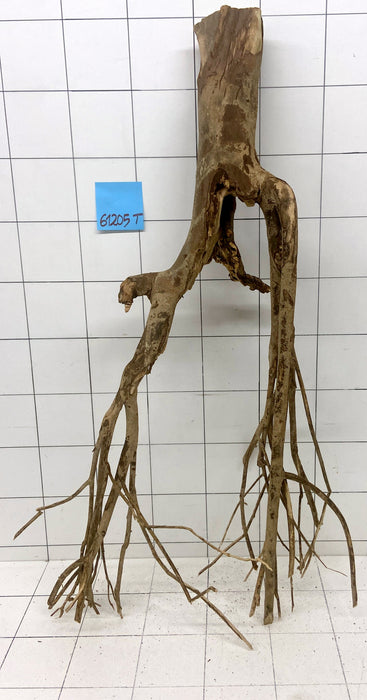 61205T Talawa Wurzel Holz XL