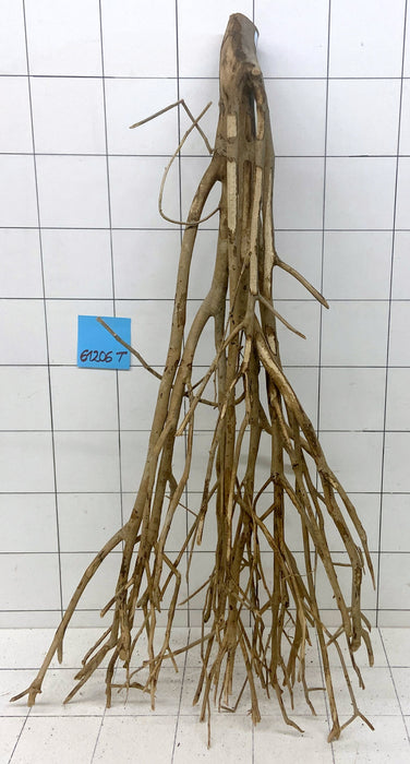 61206T Talawa Wurzel Holz XL