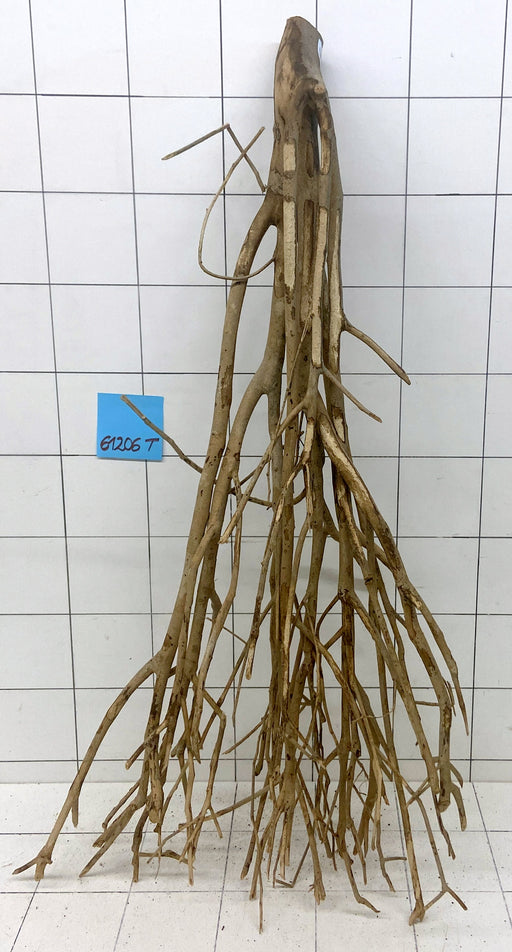 61206T Talawa Wurzel Holz XL