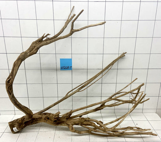 61208T Talawa Wurzel Holz XL