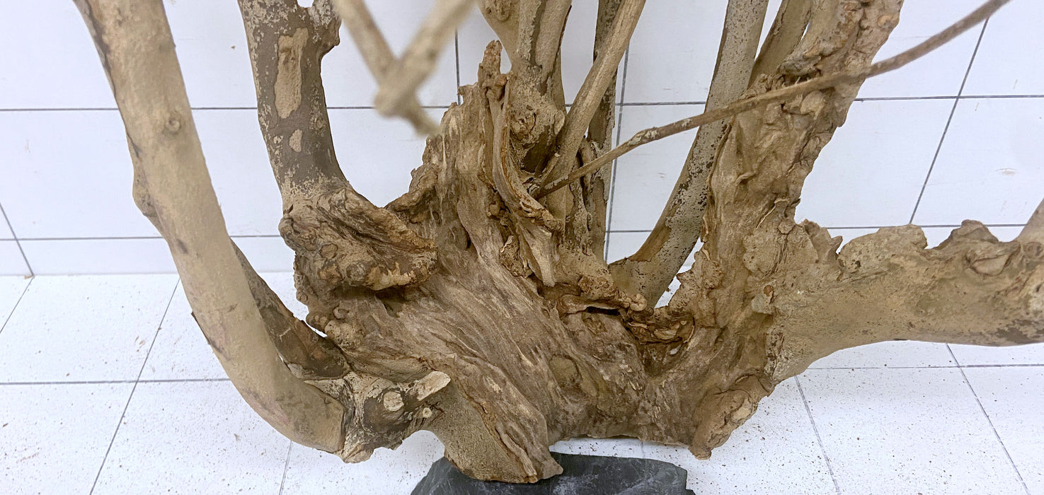 61209T Talawa Wurzel Holz XL