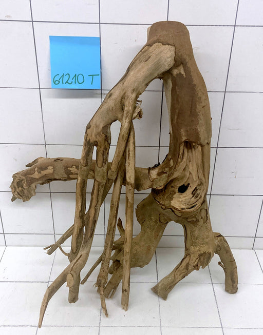 61210T Talawa Wurzel Holz