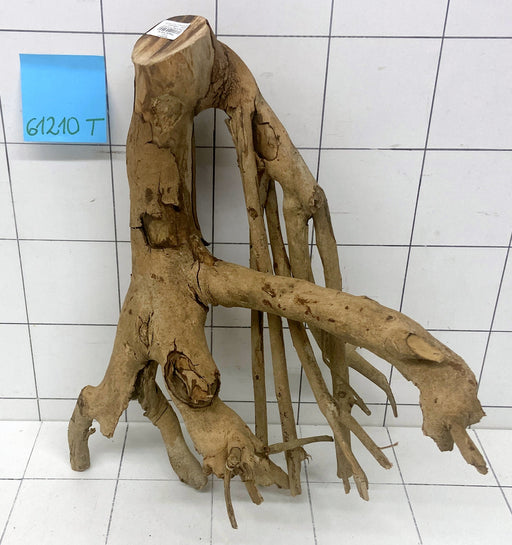 61210T Talawa Wurzel Holz