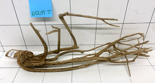 61211T Talawa Wurzel Holz