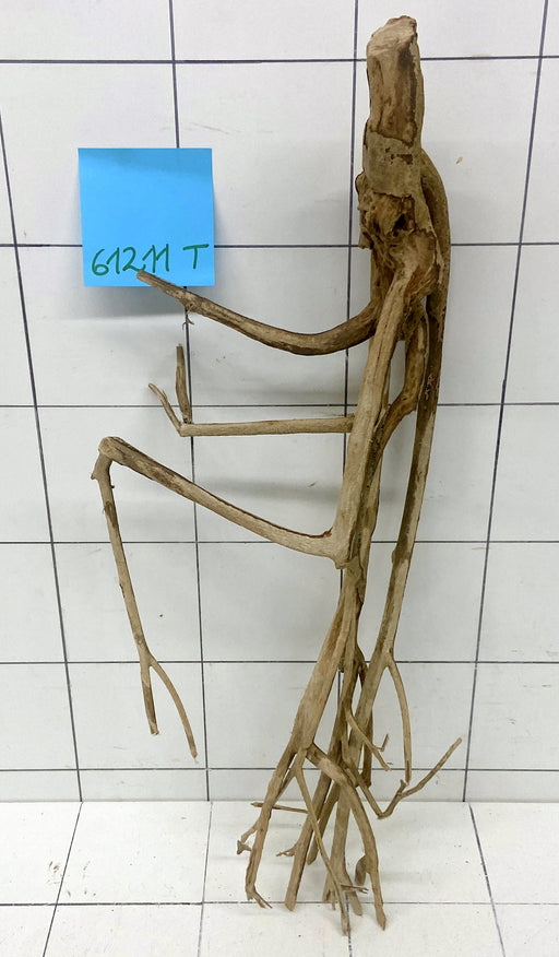 61211T Talawa Wurzel Holz