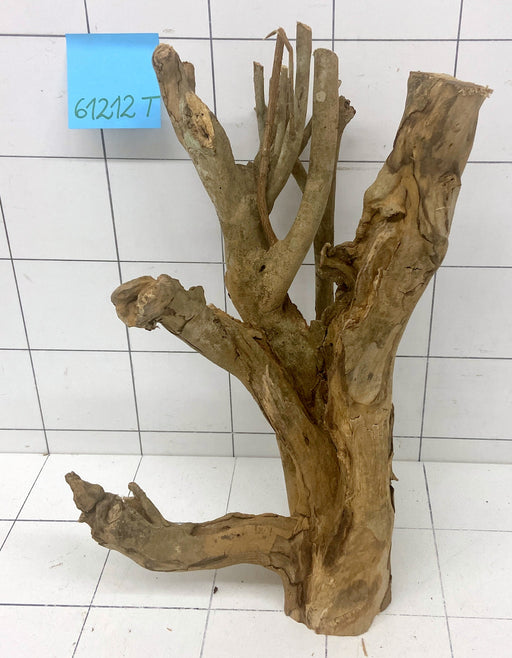 61212T Talawa Wurzel Holz