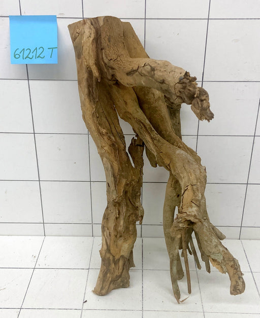 61212T Talawa Wurzel Holz