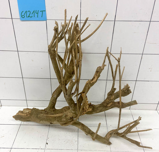 61214T Talawa Wurzel Holz