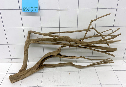 61215T Talawa Wurzel Holz