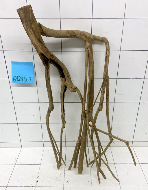 61215T Talawa Wurzel Holz